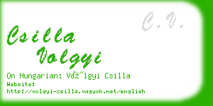 csilla volgyi business card